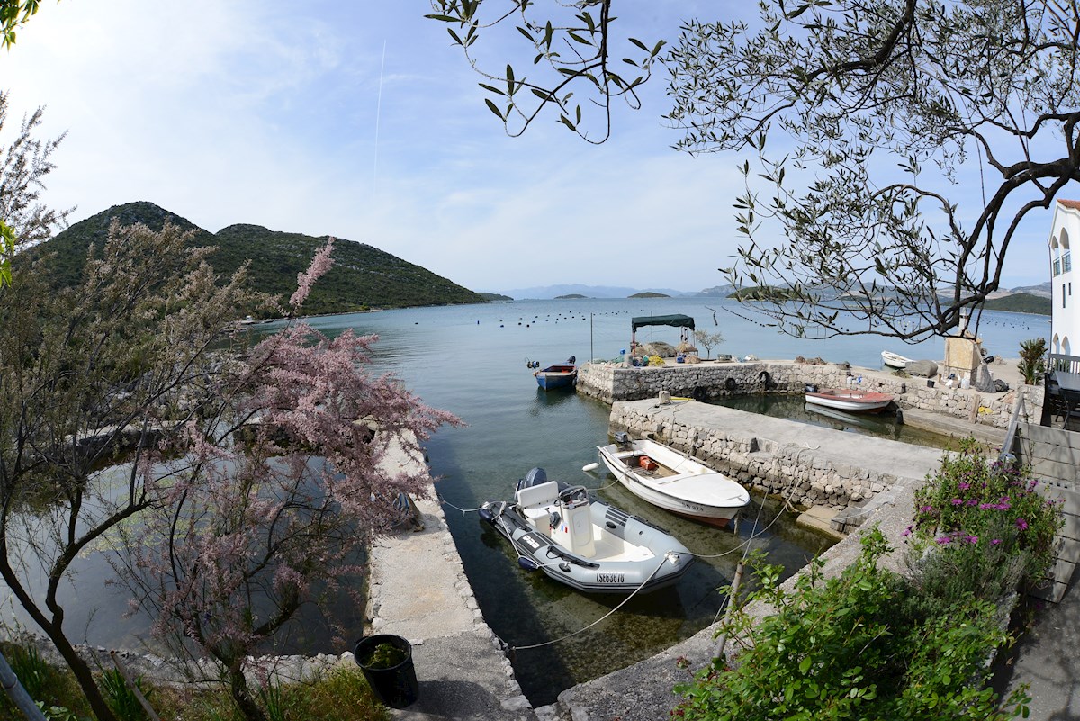DUBRAVA