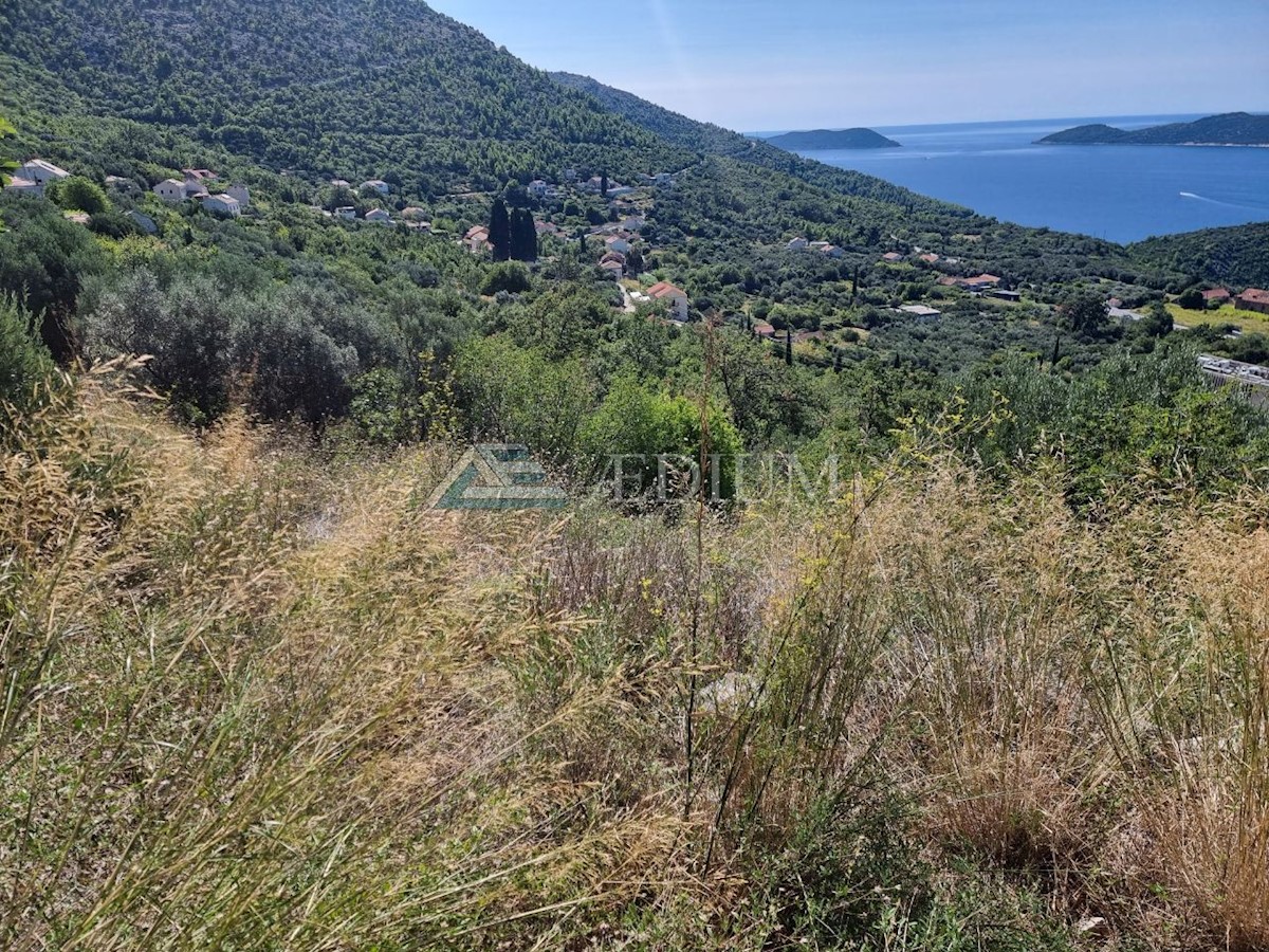 BRSEČINE