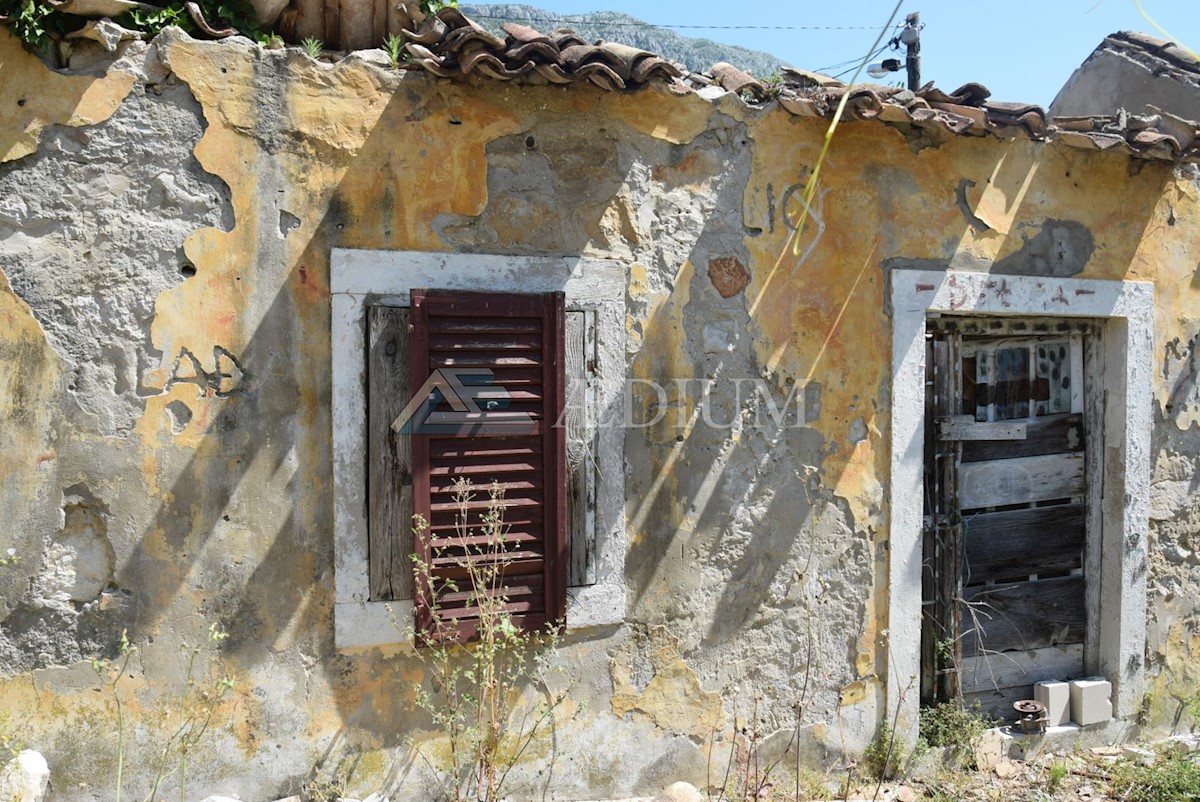 MOKOŠICA