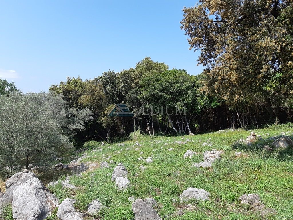 MOLUNAT