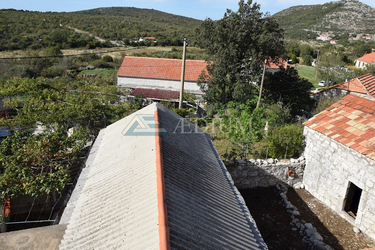 MAJKOVI