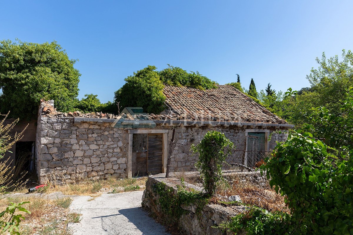 TRPANJ