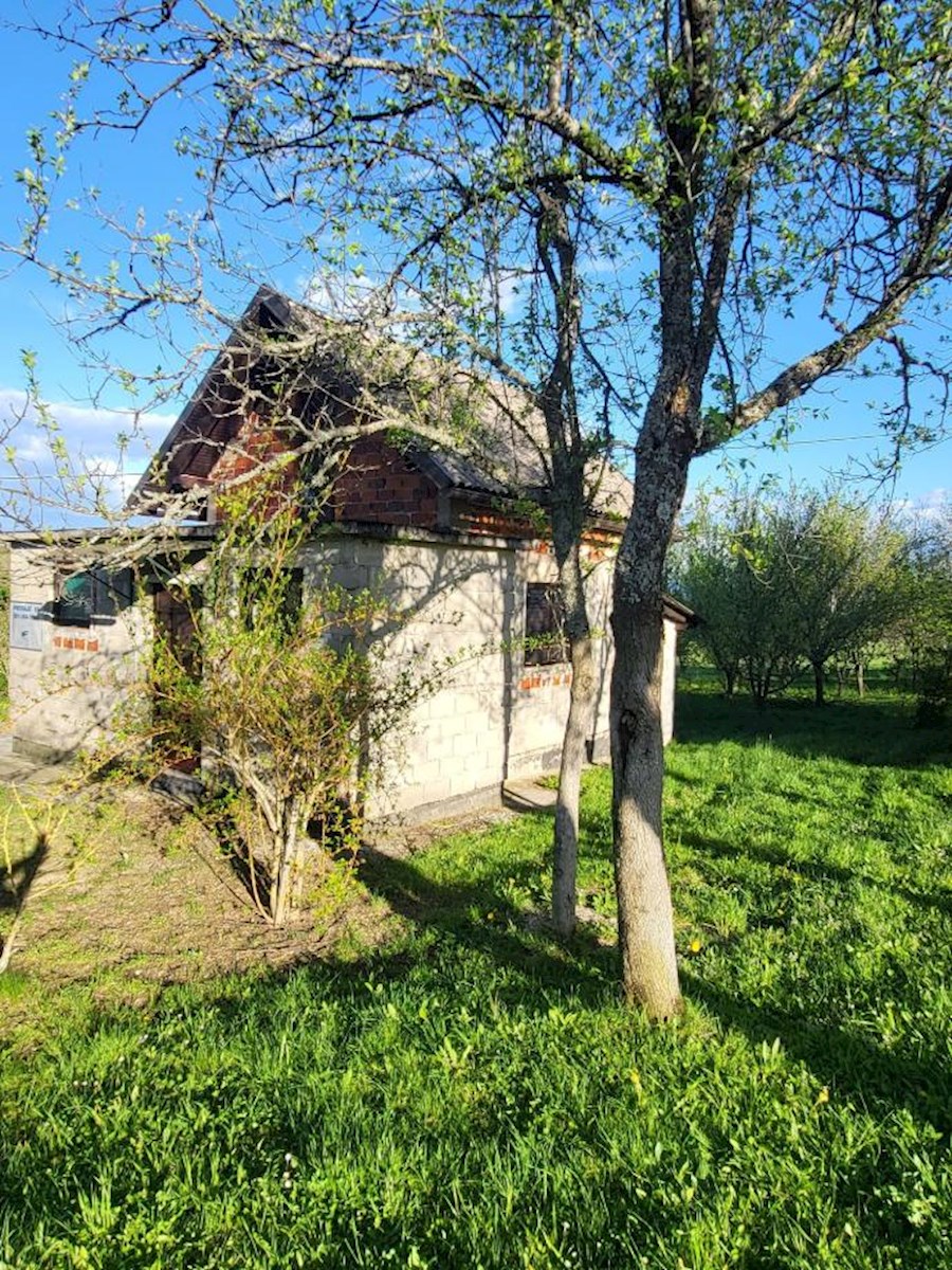 OGULIN
