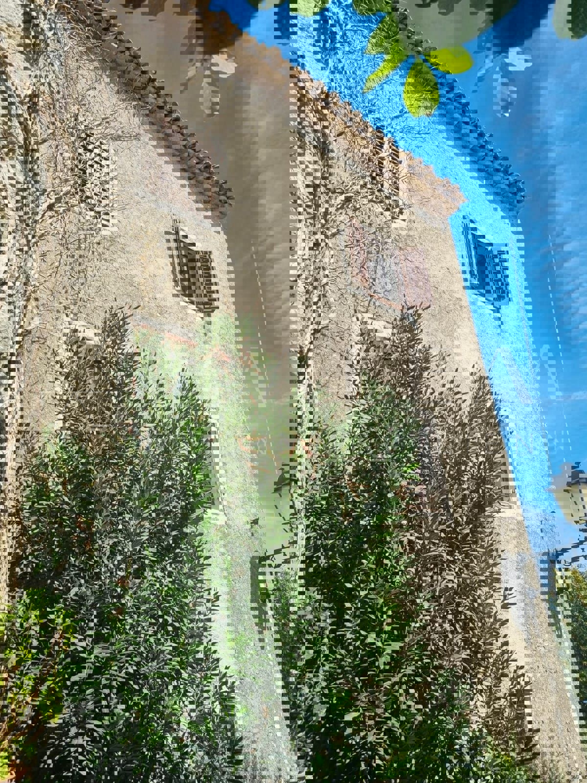 PIĆAN