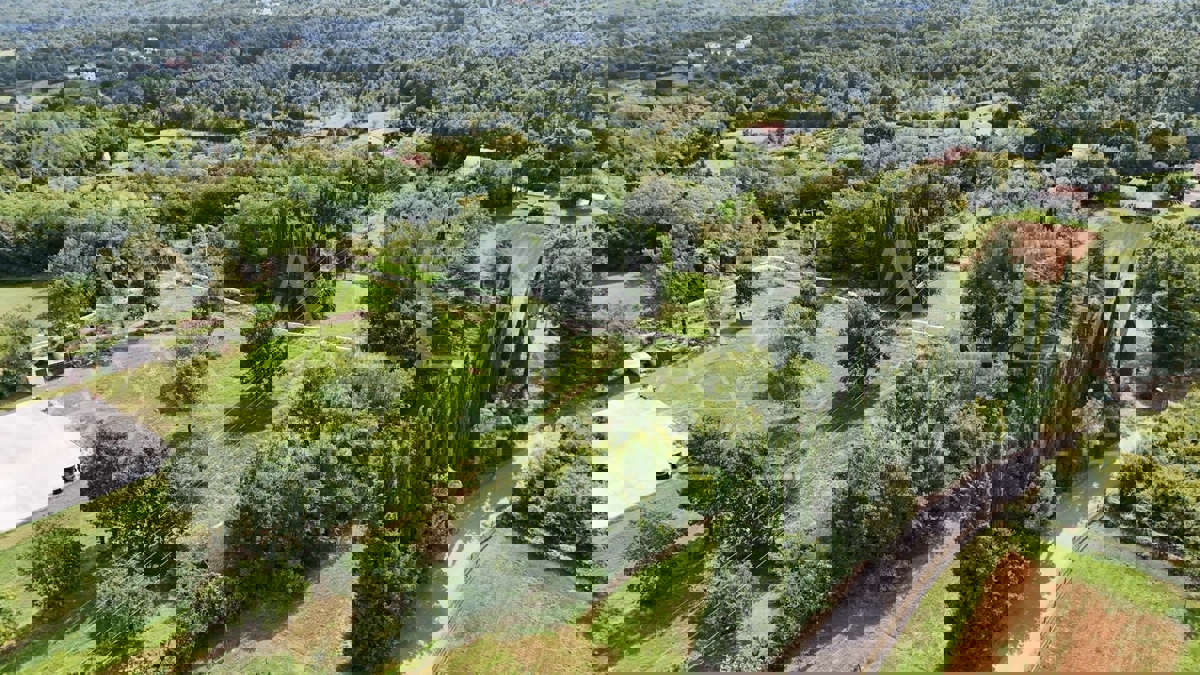 LAZARIĆI