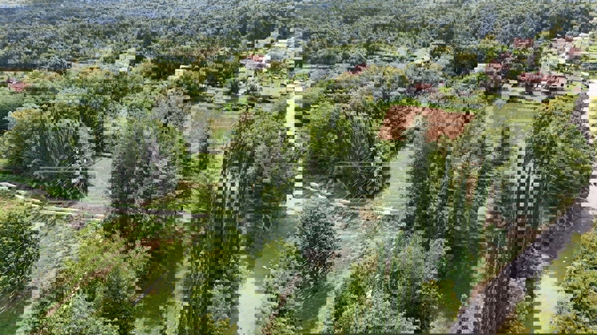LAZARIĆI