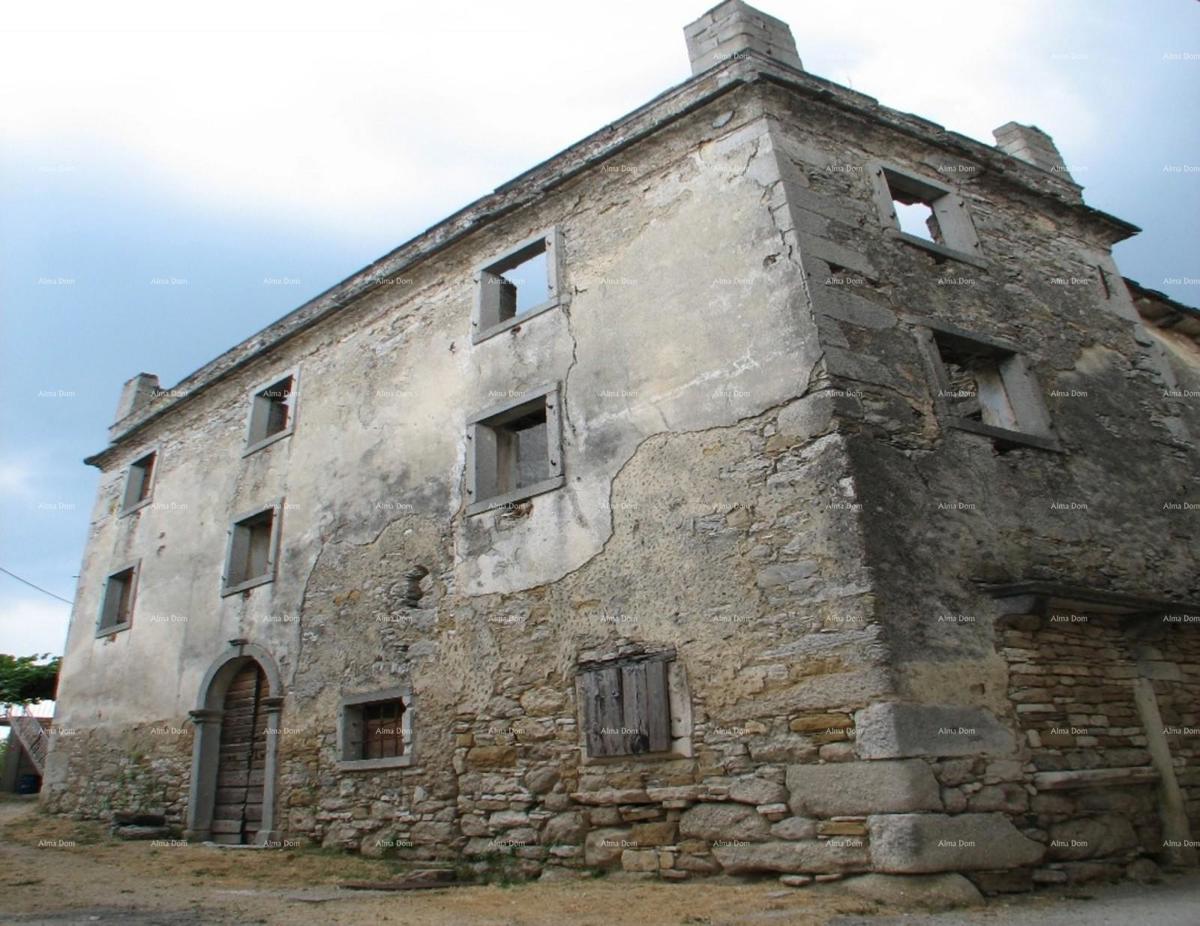 PAZIN