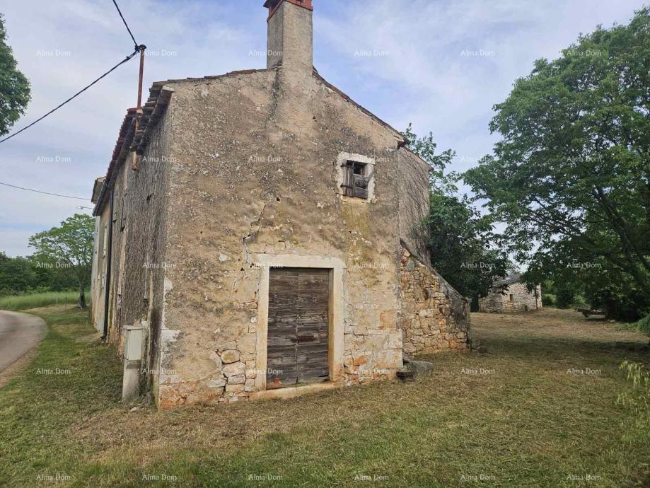 VIŠNJAN