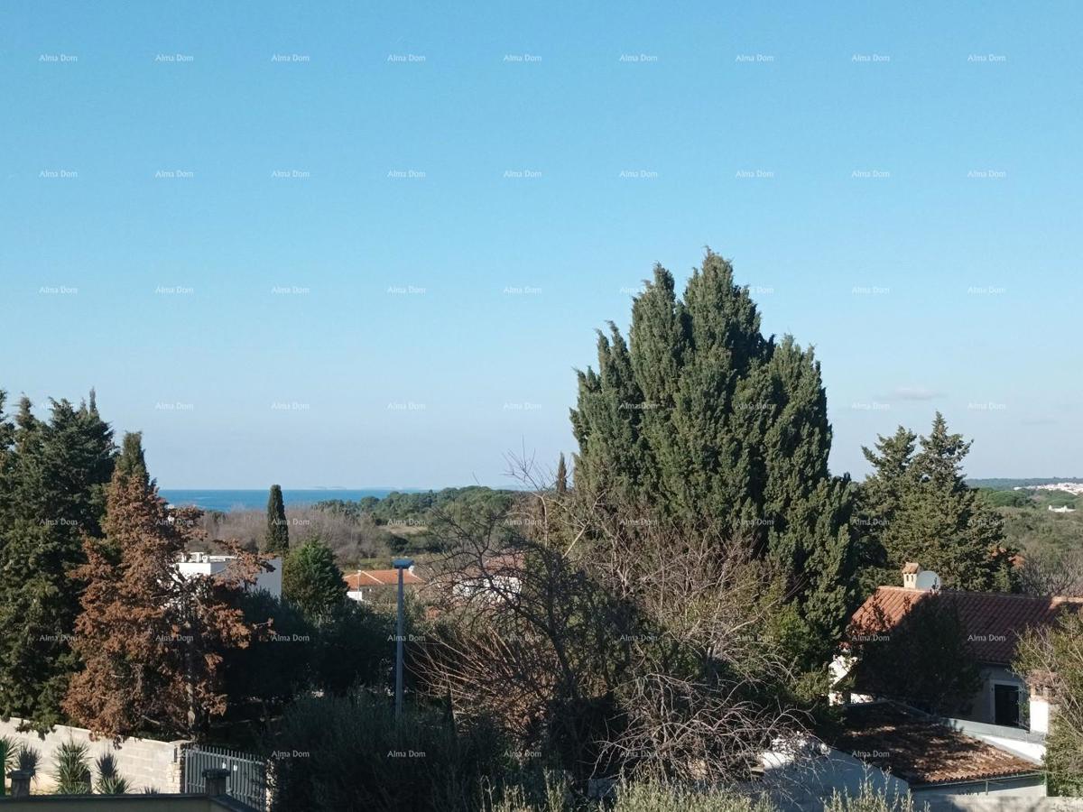 PULA