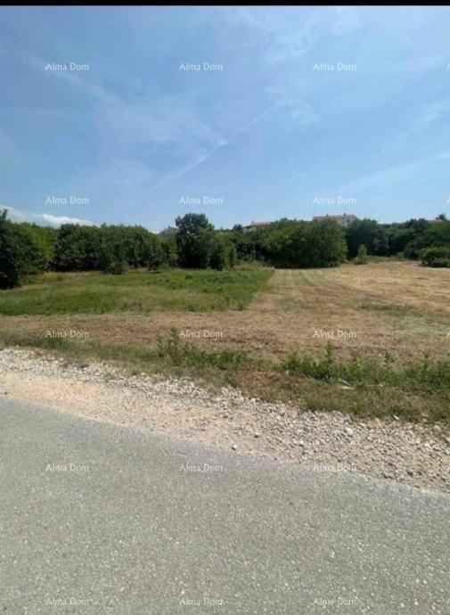 SVETI LOVREČ PAZENATIČKI