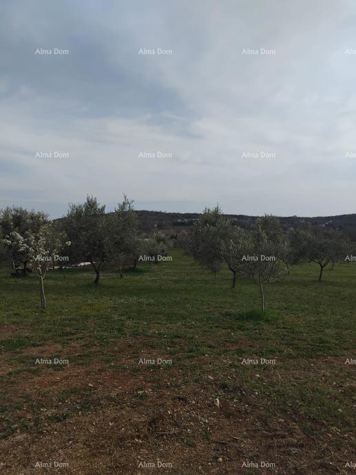 Участок POREČ, 570.600 €