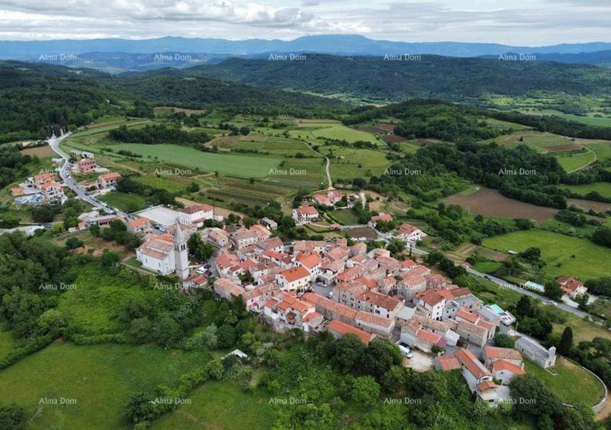 PAZIN