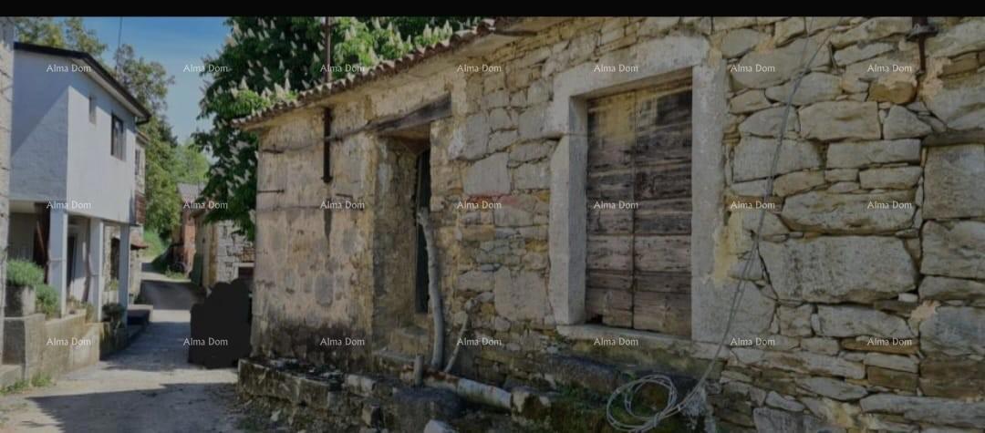 BUZET