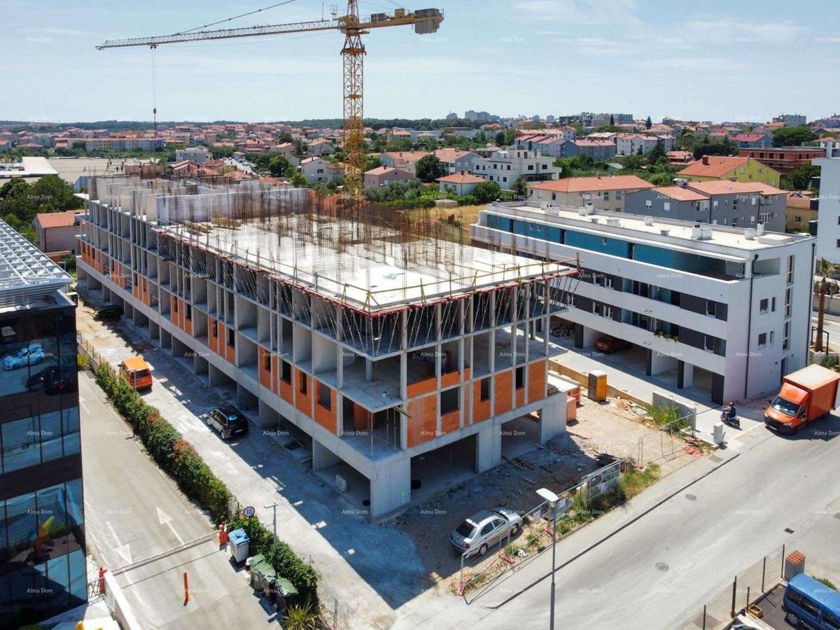 PULA