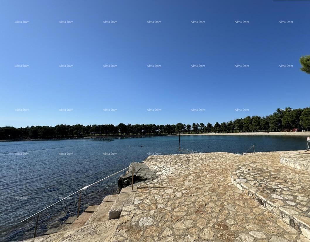 NOVIGRAD