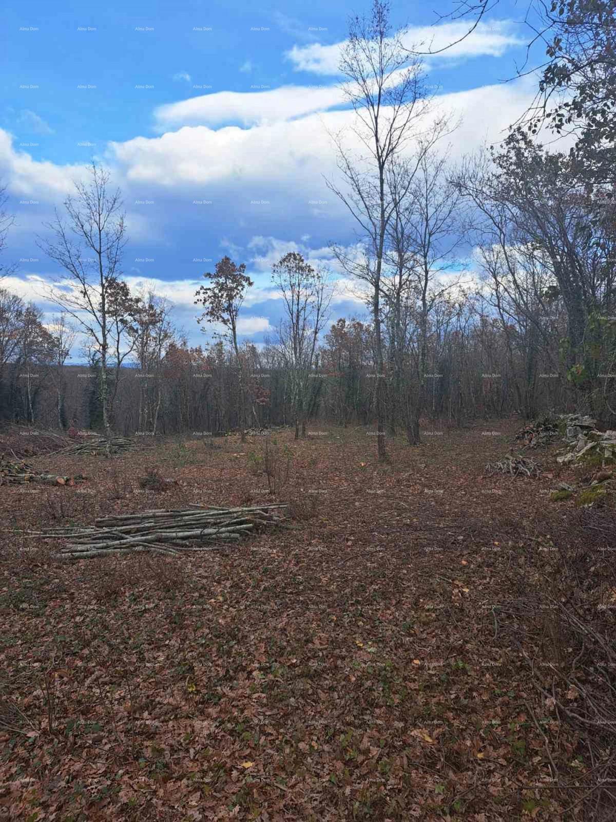 Terreno TINJAN, 90.000 €