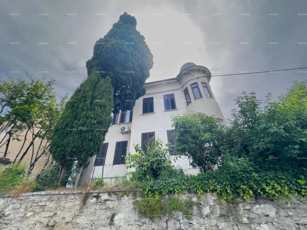 PULA