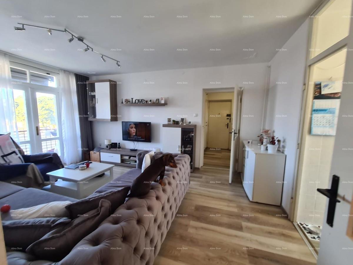 Apartment For Sale – Šijana, Pula