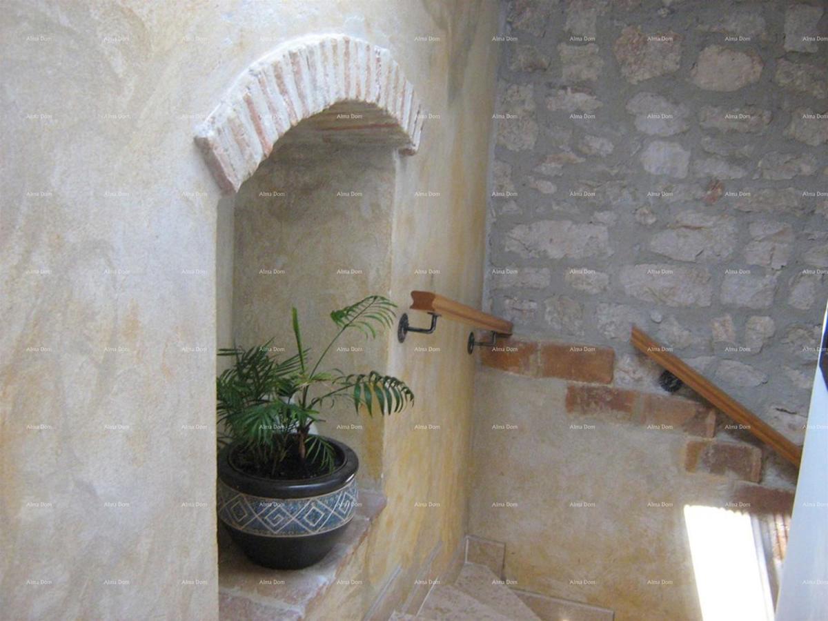 image 13