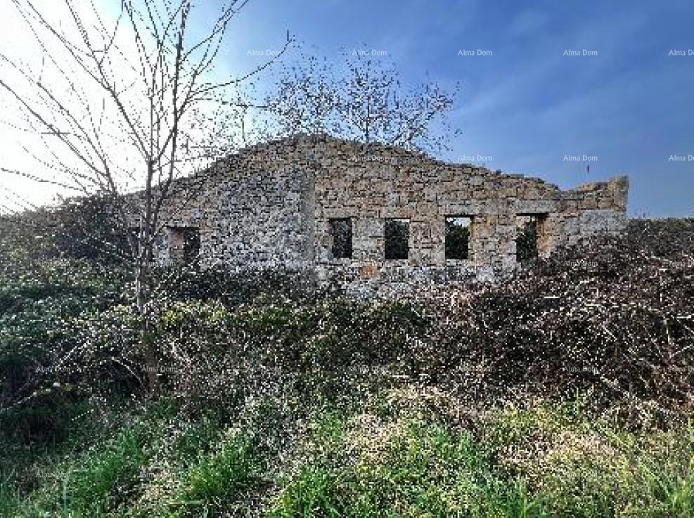 Slika nekretnine