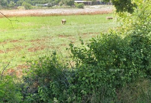 Участок LIŽNJAN, 110 €