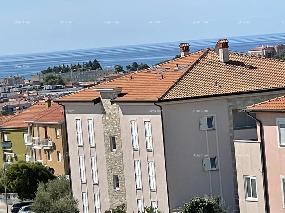 NOVIGRAD
