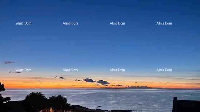 UMAG