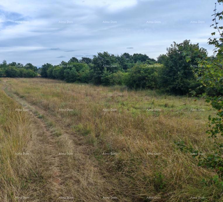 Terreno SVETVINČENAT, 120.000 €