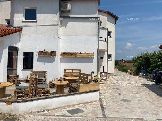 PULA