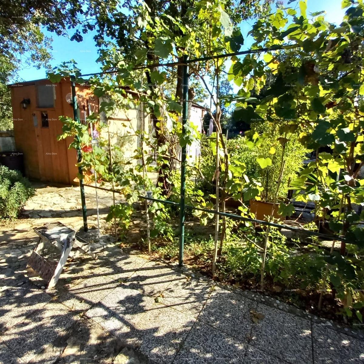 image 18