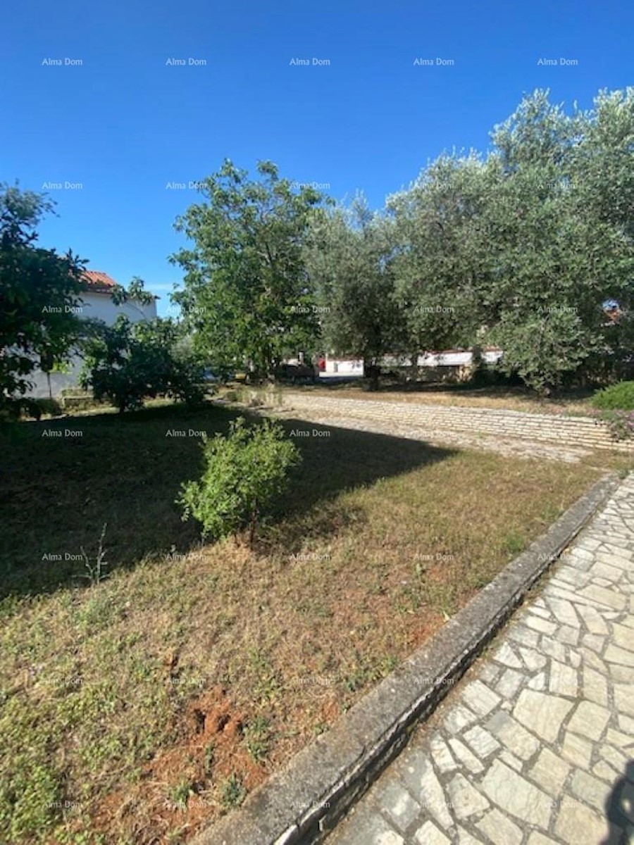 PULA