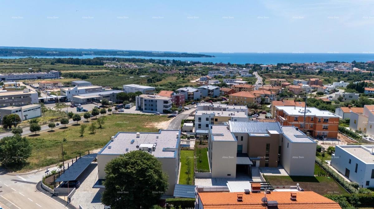 NOVIGRAD