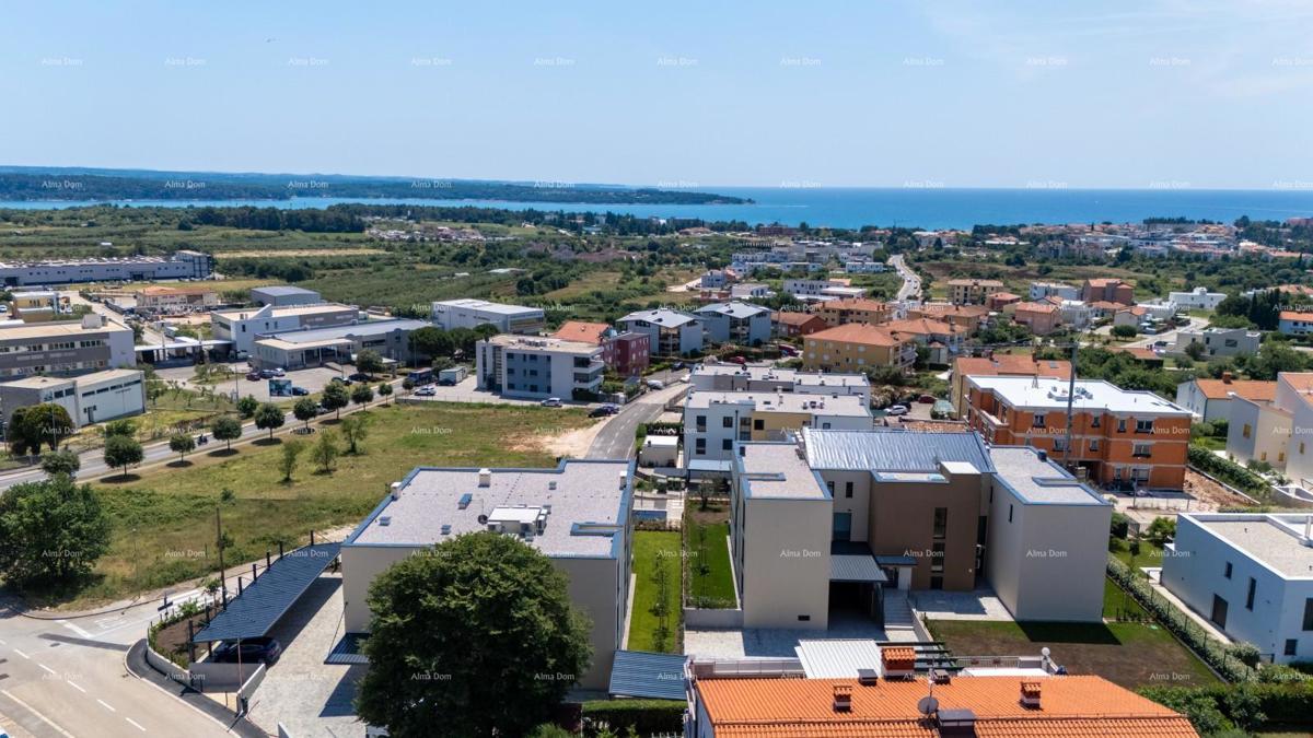 NOVIGRAD