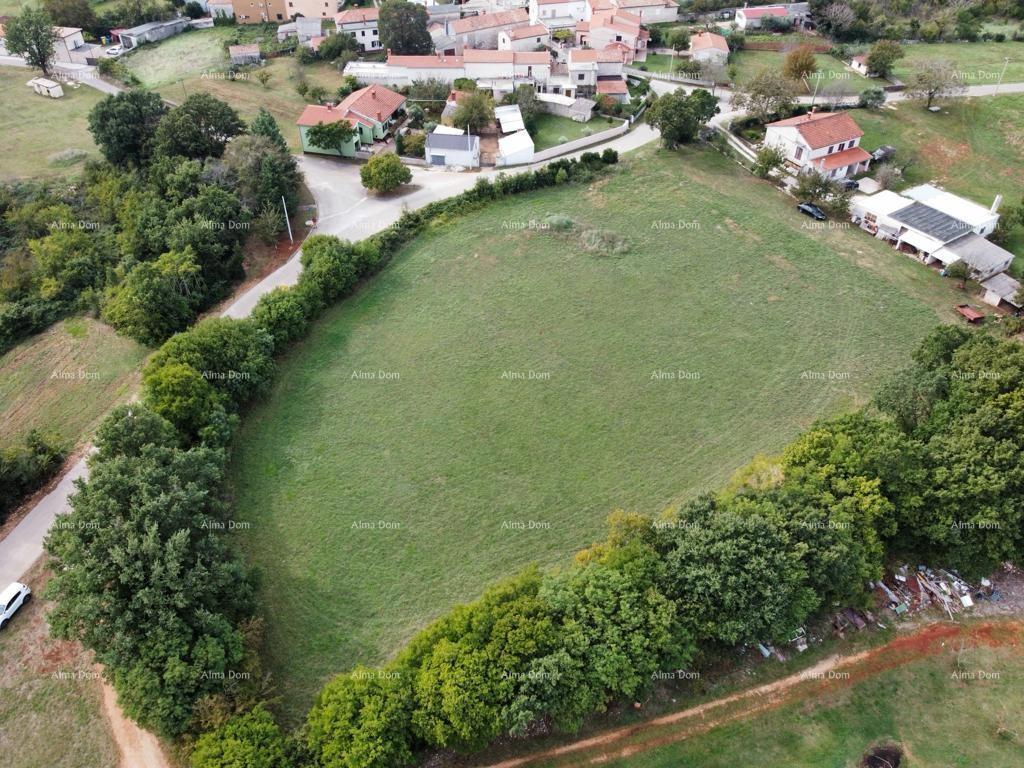 RAKALJ