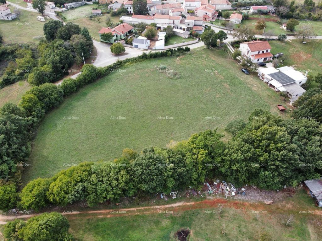 RAKALJ