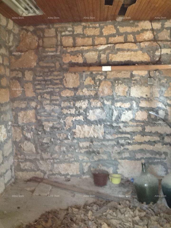 image 23