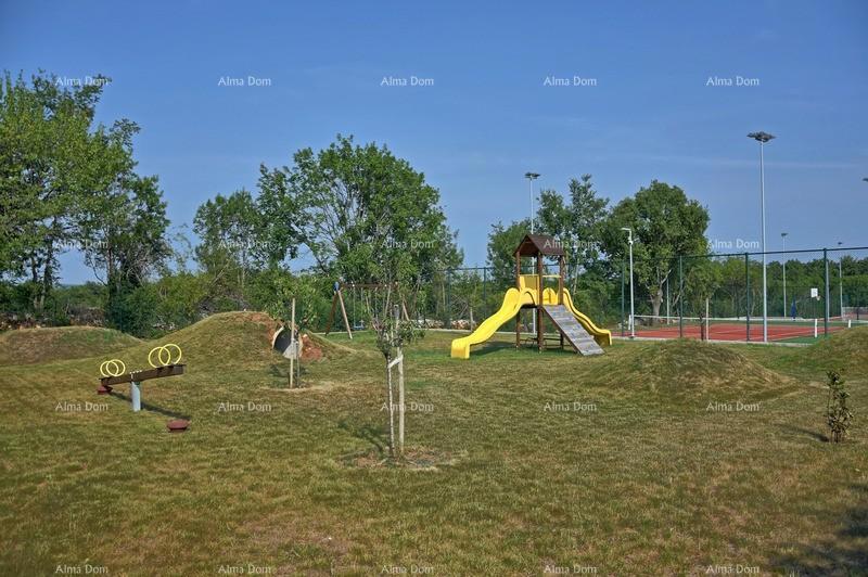 image 22