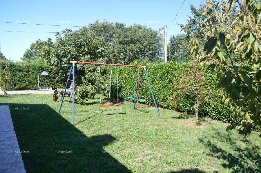 image 36