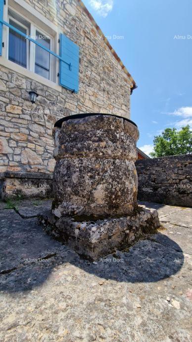 image 14