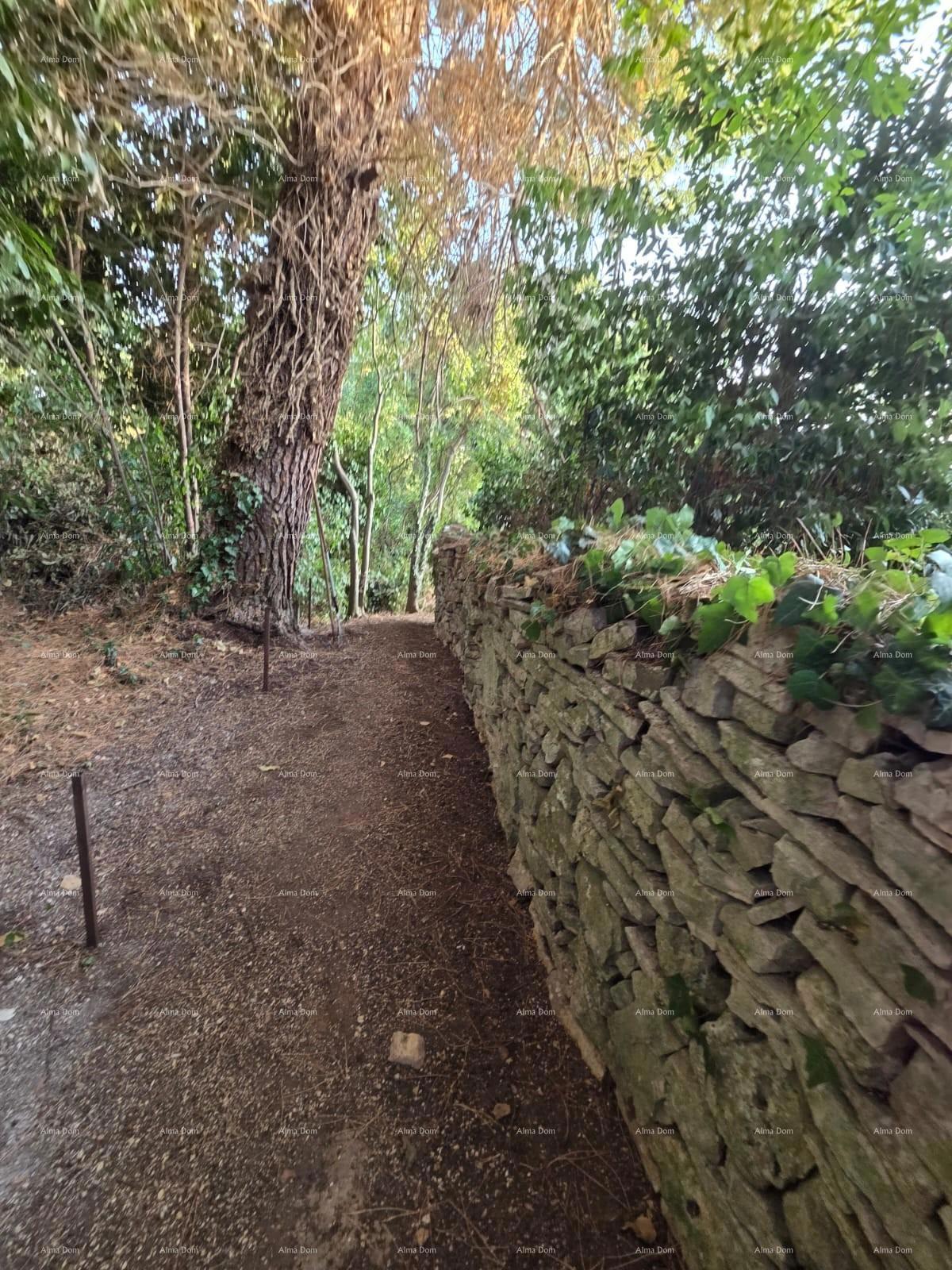 image 17