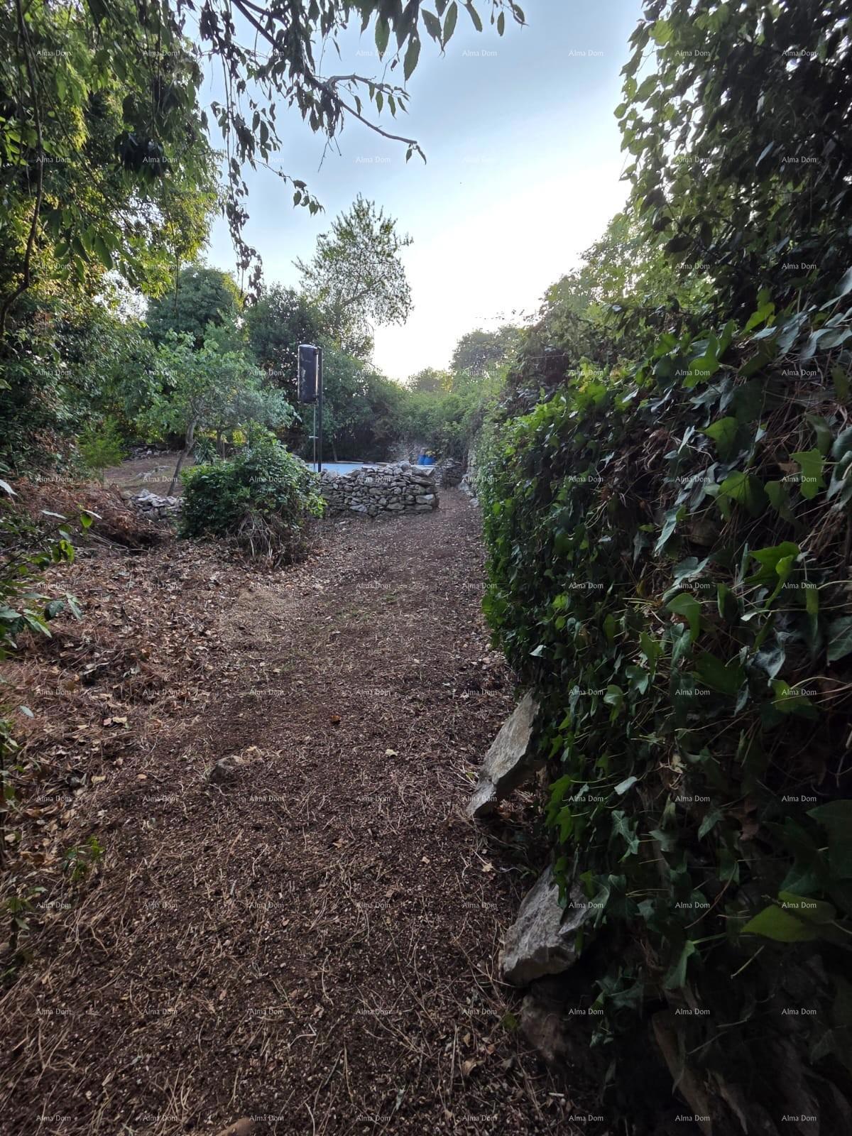 image 24