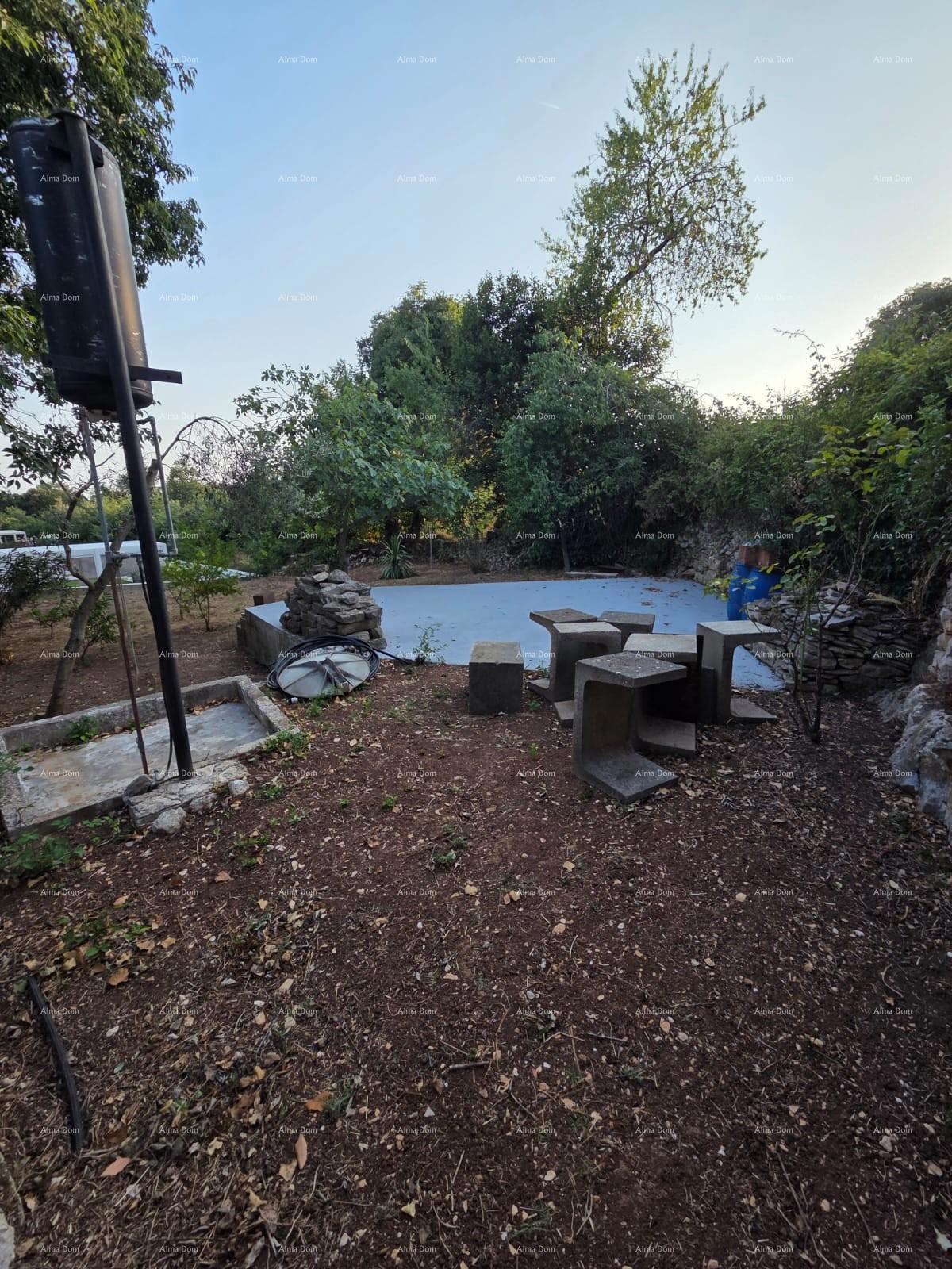 image 22