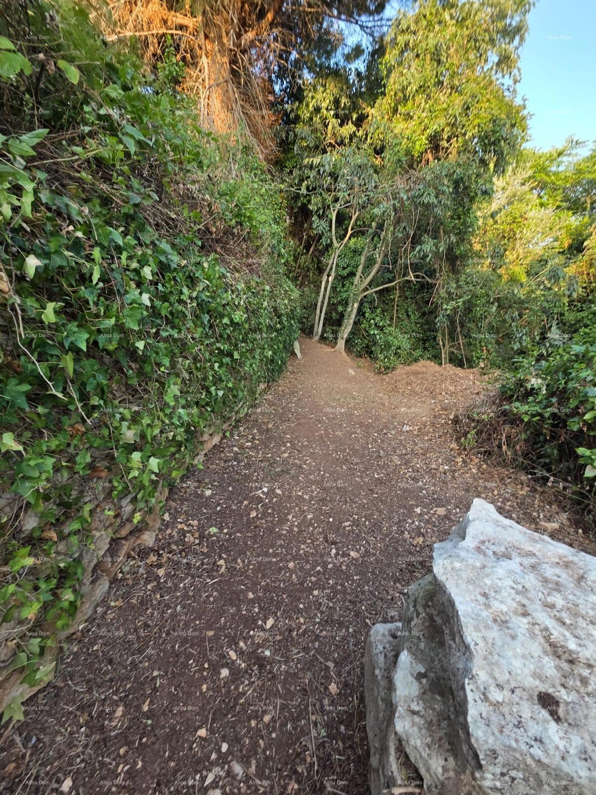 image 25