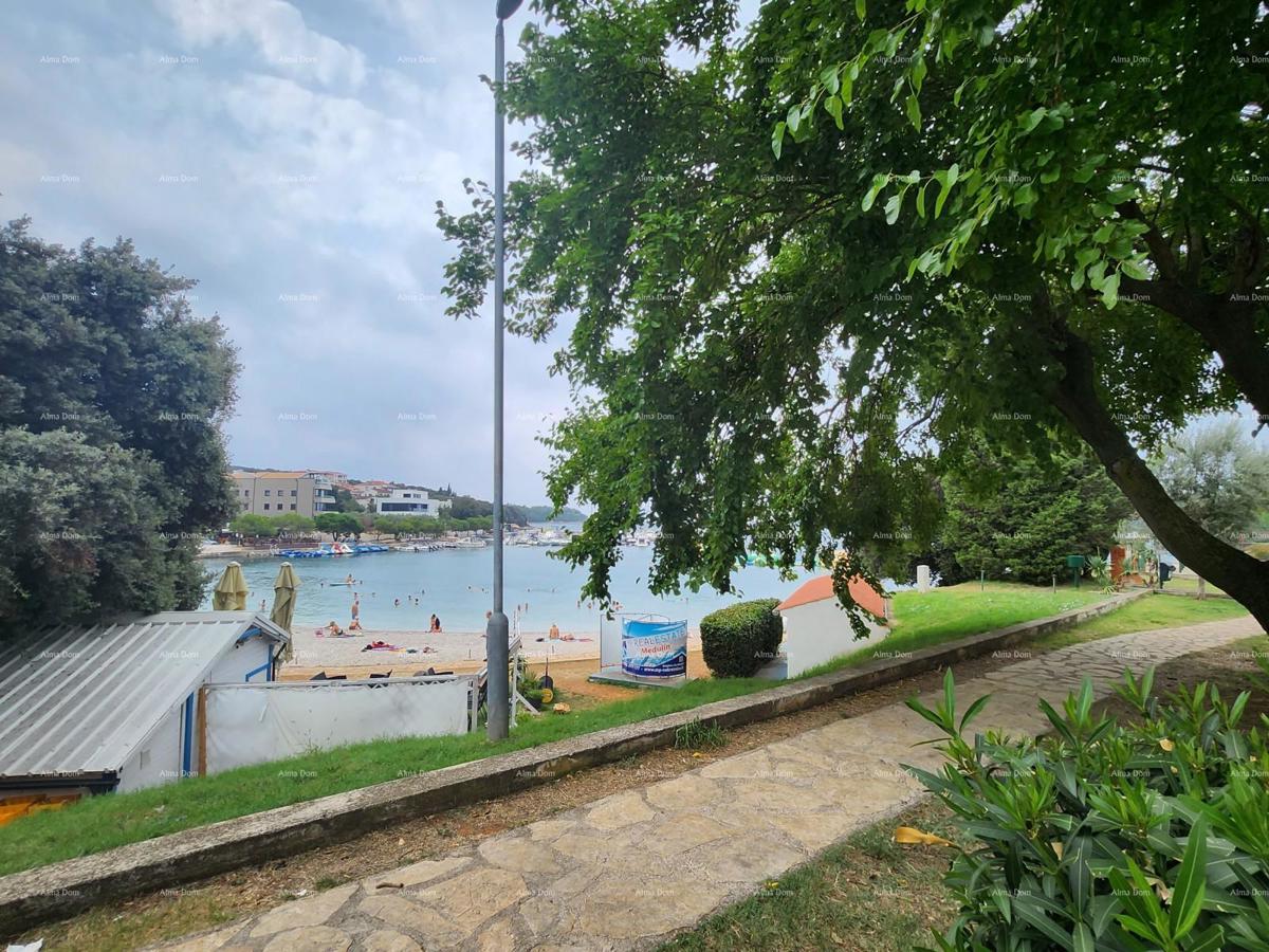 PULA