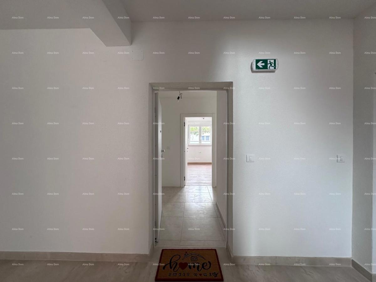 ŠIŠAN