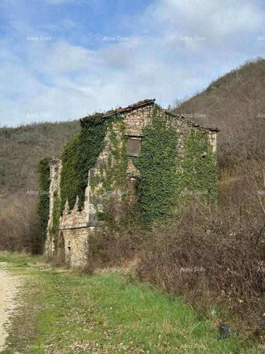BUZET