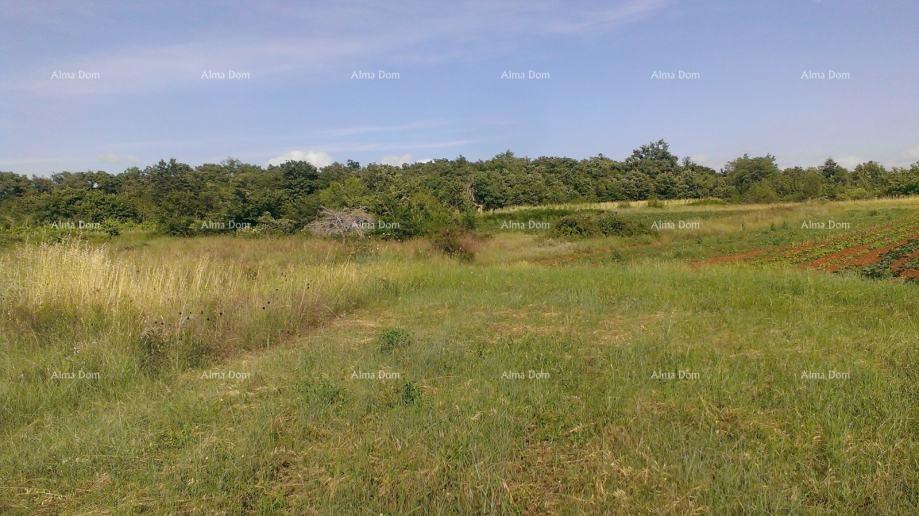 Участок SVETVINČENAT, 169.000 €