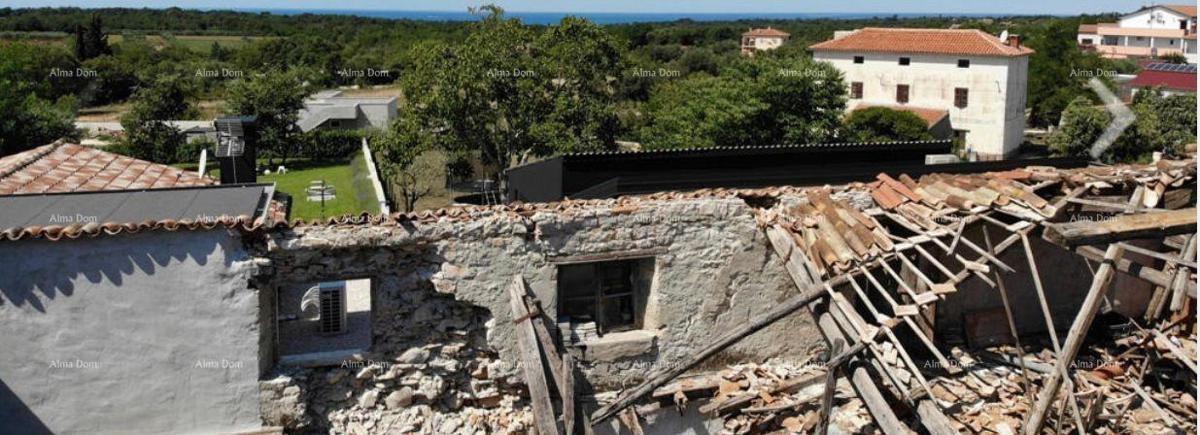 UMAG