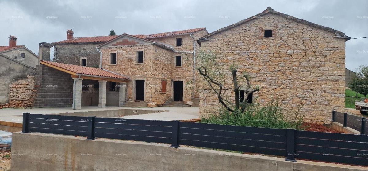 ŽMINJ