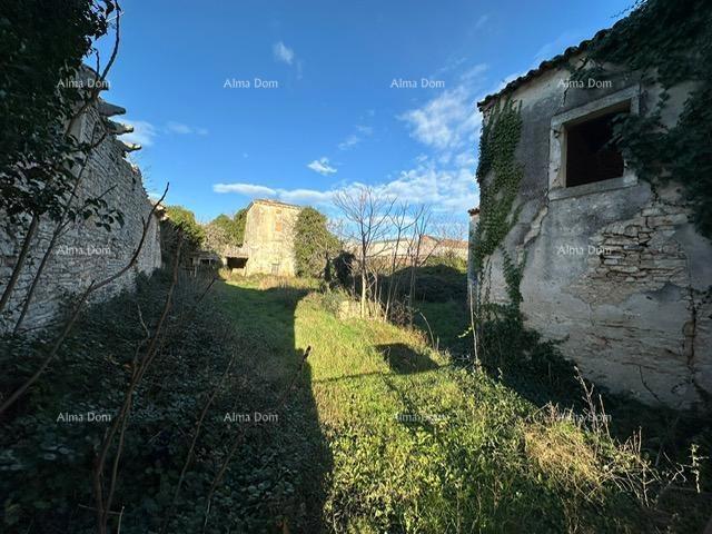 PULA